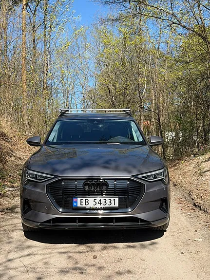 Audi E-Tron 2020 photo 5