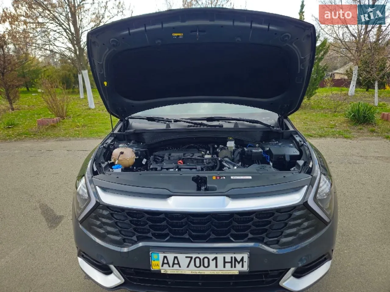 Kia Sportage 2022 photo 4
