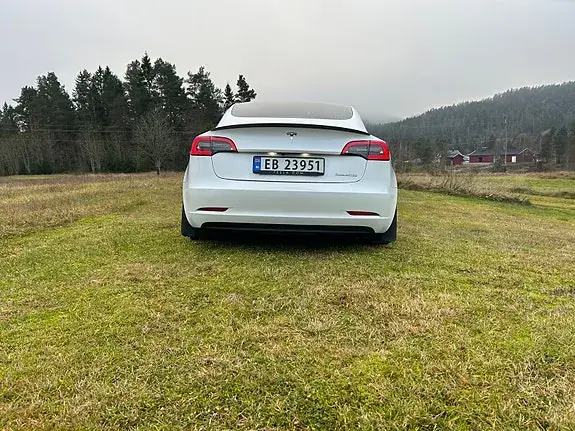 Tesla Model 3 2020 photo 5