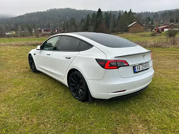 Tesla Model 3 2020 photo 3