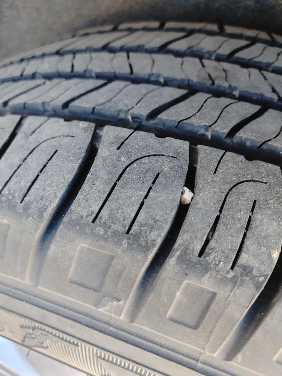 Ford Edge 2009 photo 5