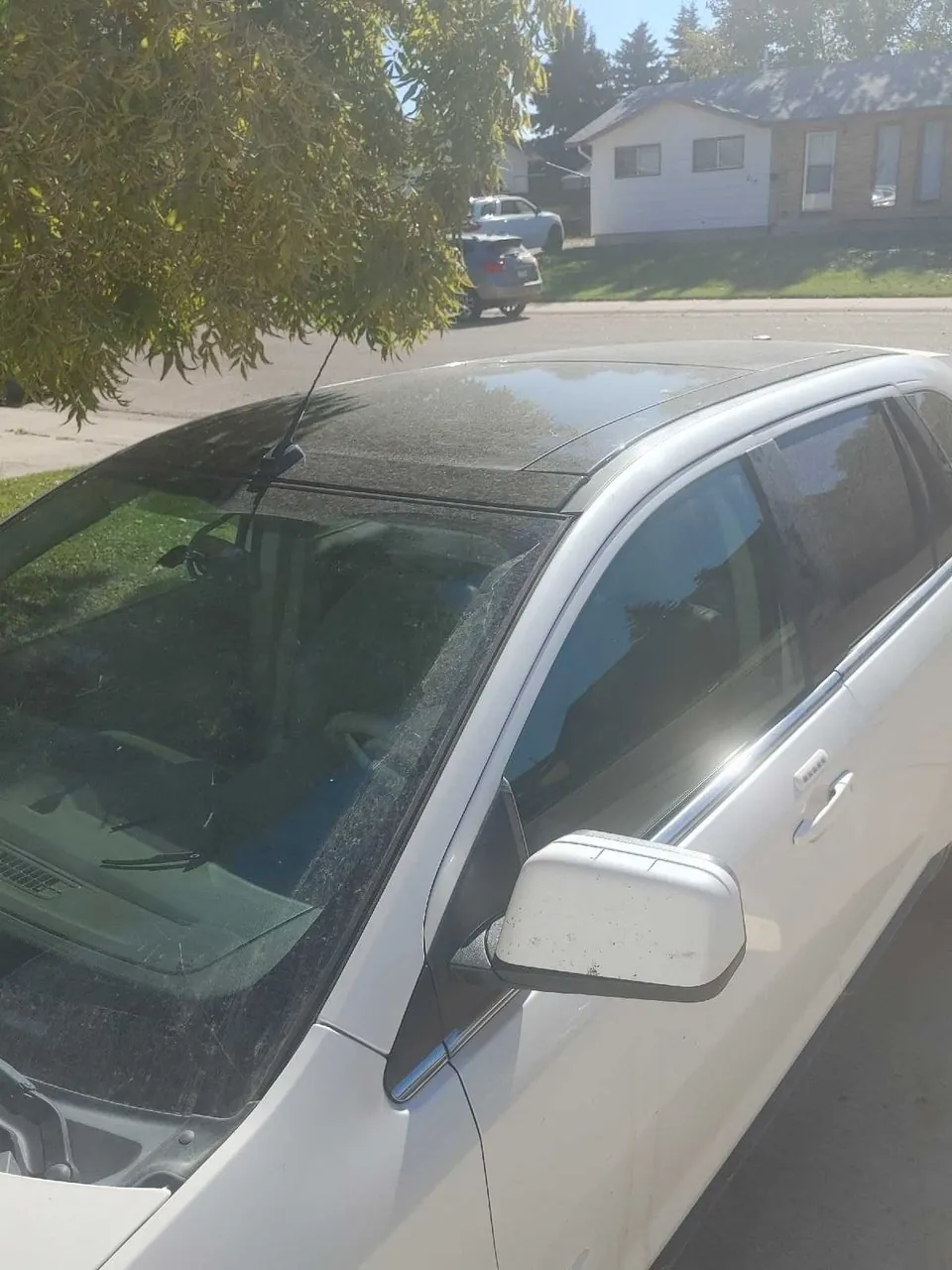 Ford Edge 2009 photo 3