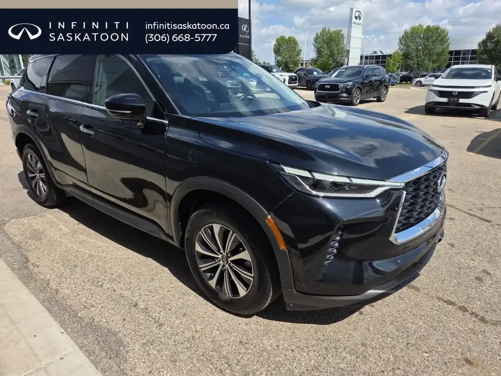 Infiniti Qx60 2024 photo 4
