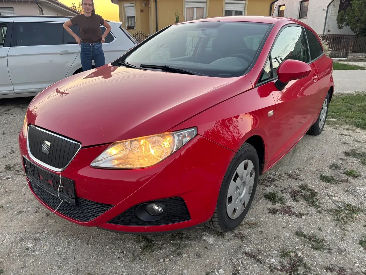 Seat Ibiza 2009 photo 2