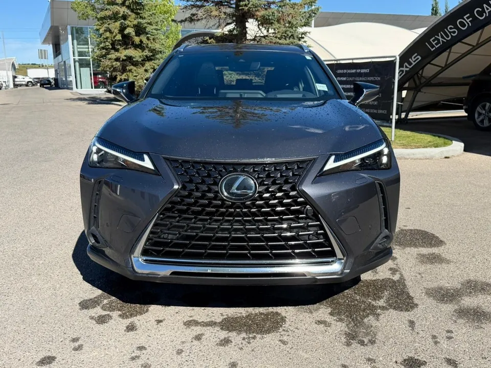 Lexus Ux 2024 photo 4