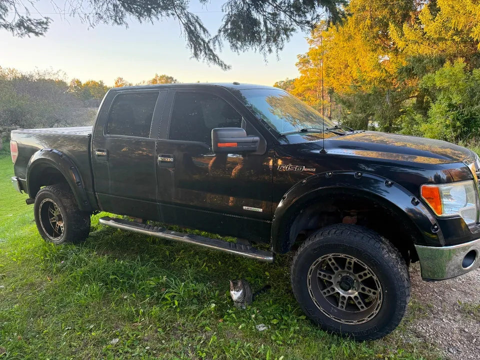 Ford F-150 2012 photo 3