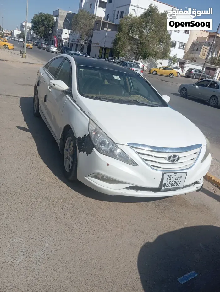 Hyundai Sonata 2010 photo 5