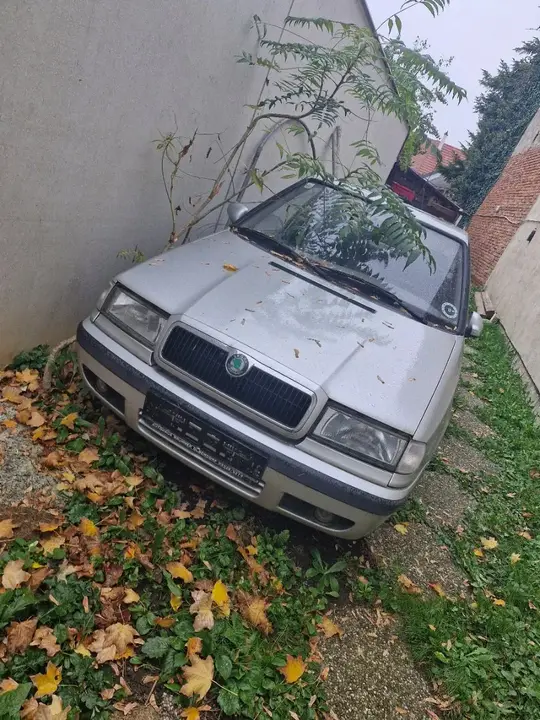 Skoda Felicia 1995 photo 2