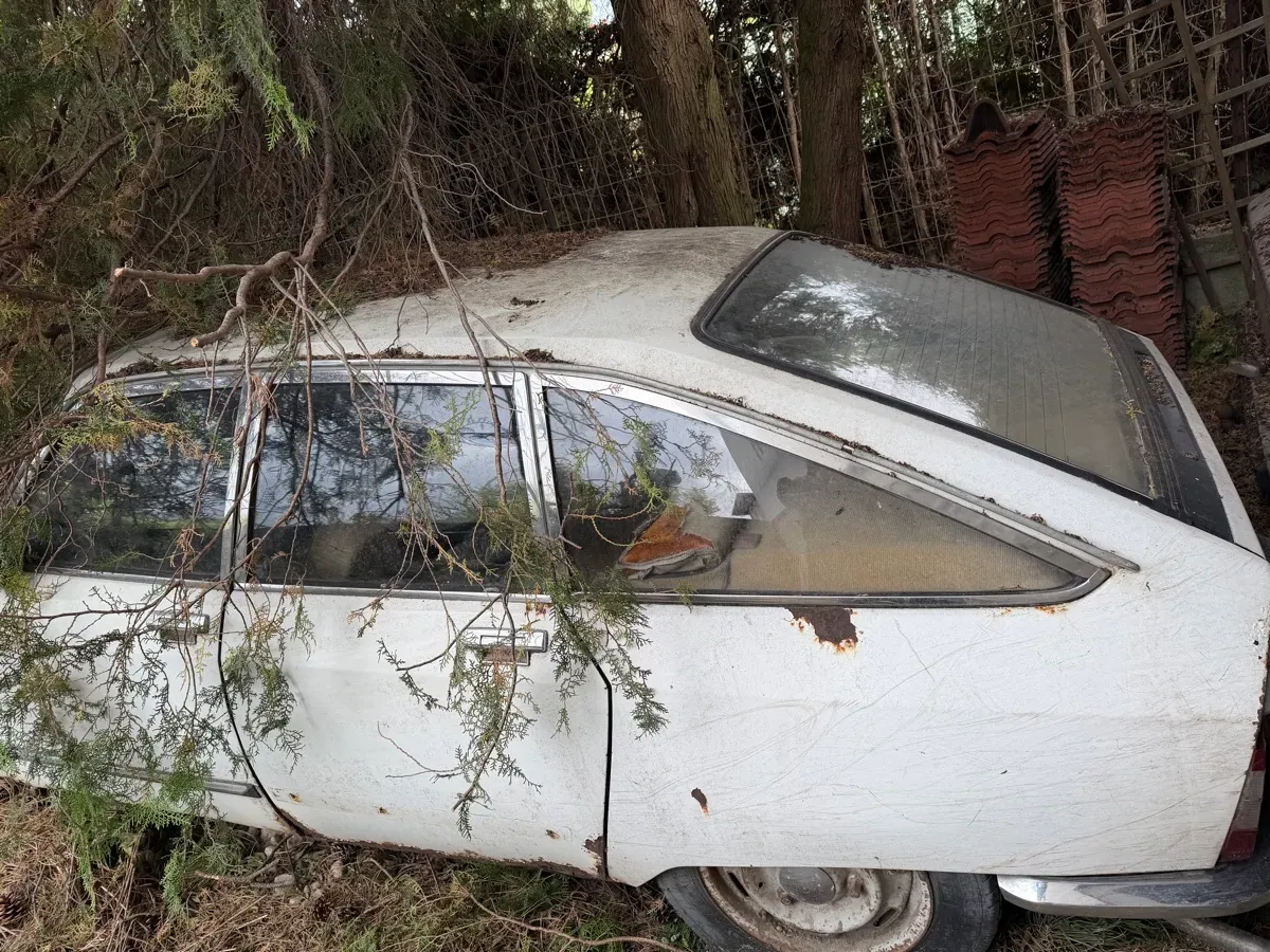 Citroen Gs Pallas