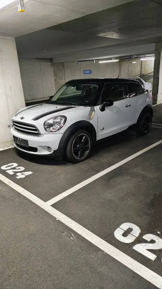 Mini Paceman