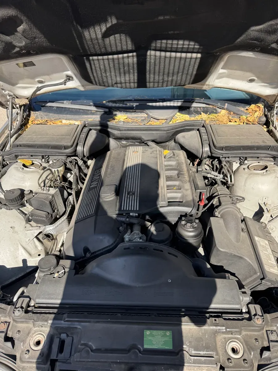 BMW 5 Series 1998 photo 3