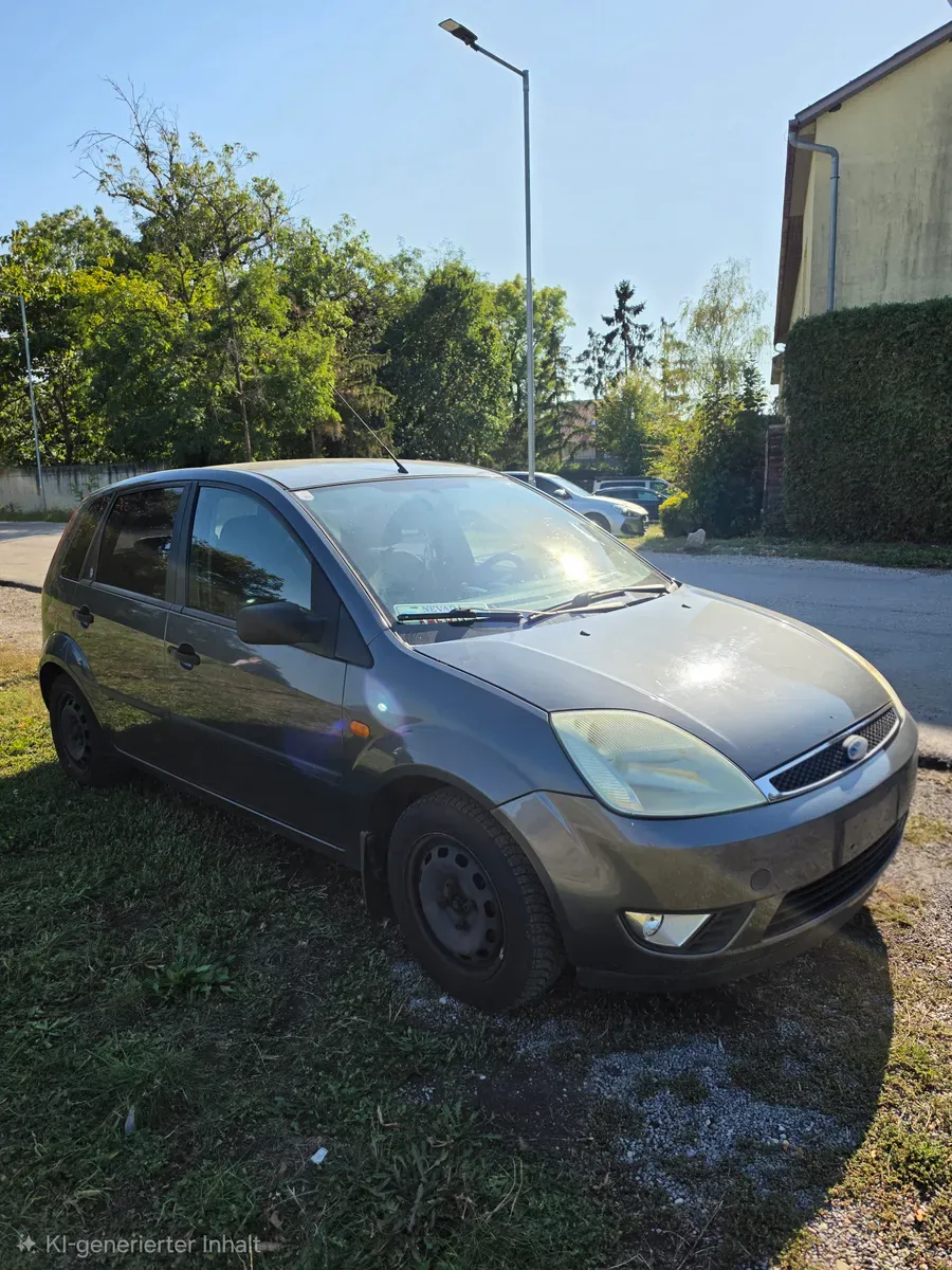 Ford Fiesta 2003 photo 3
