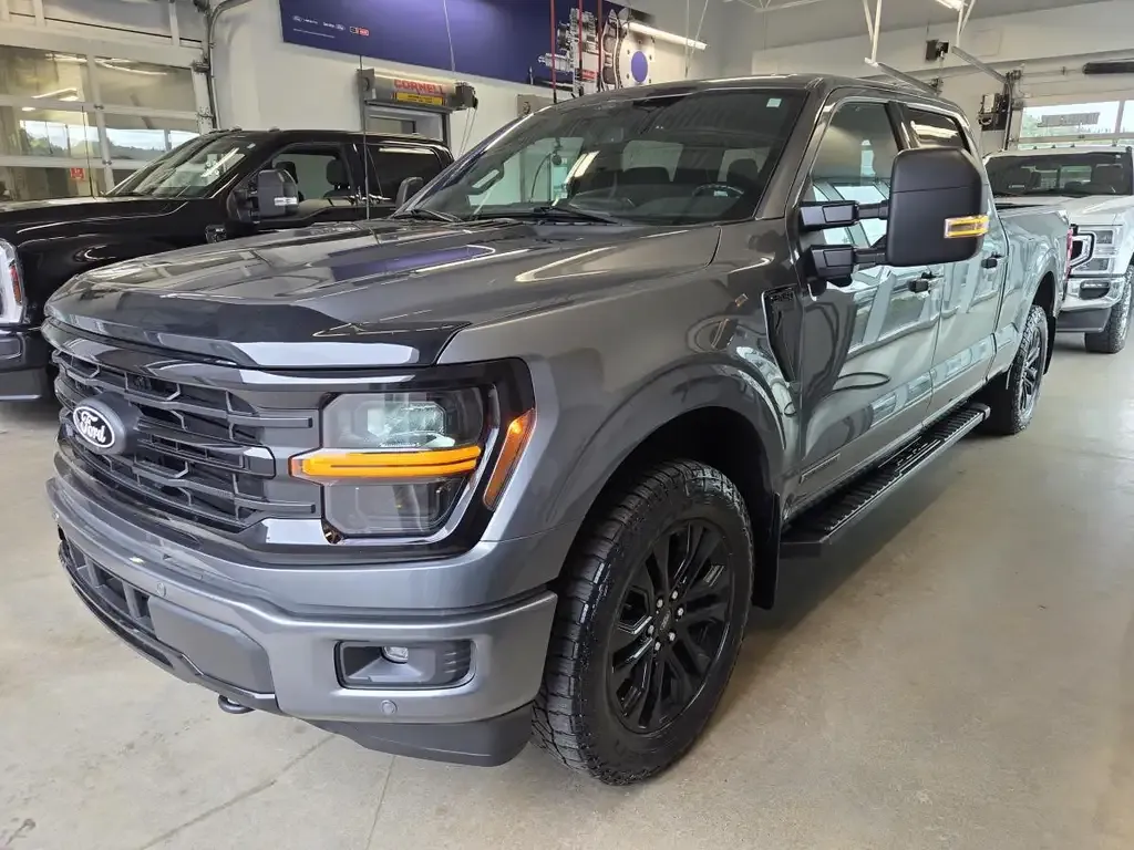 Ford F-150 2024 photo 3