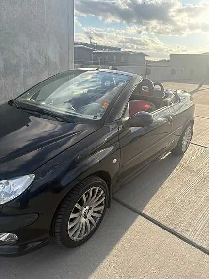 Peugeot 206 2002 photo 3