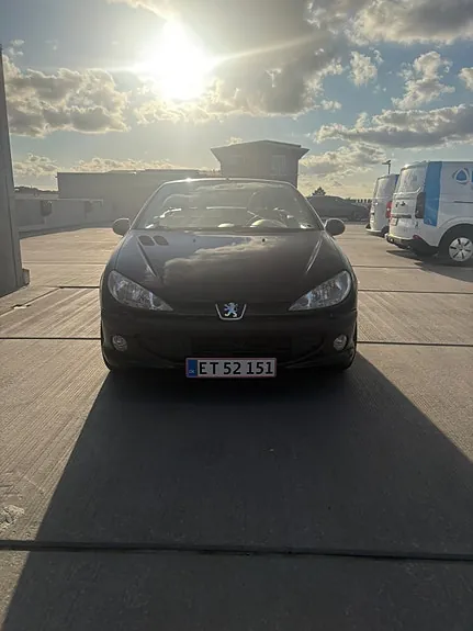 Peugeot 206 2002 photo 2