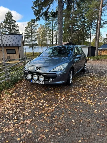 Peugeot 307 2007 photo 3