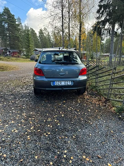 Peugeot 307 2007 photo 4