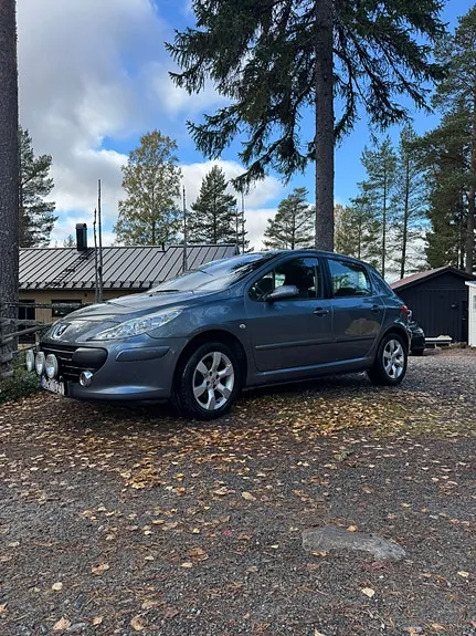 Peugeot 307 2007 photo 2