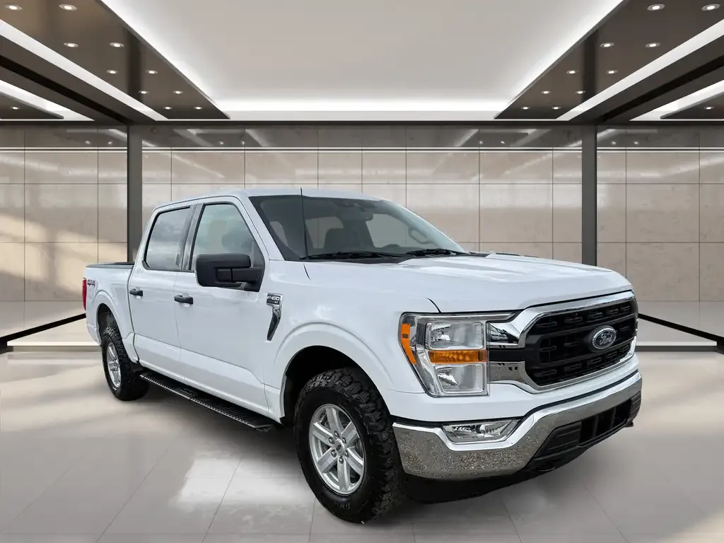 Ford F-150 2021 photo 2