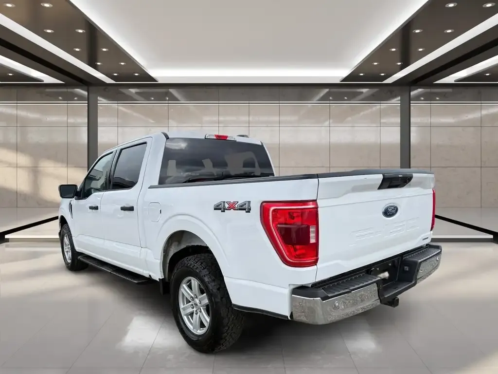 Ford F-150 2021 photo 4