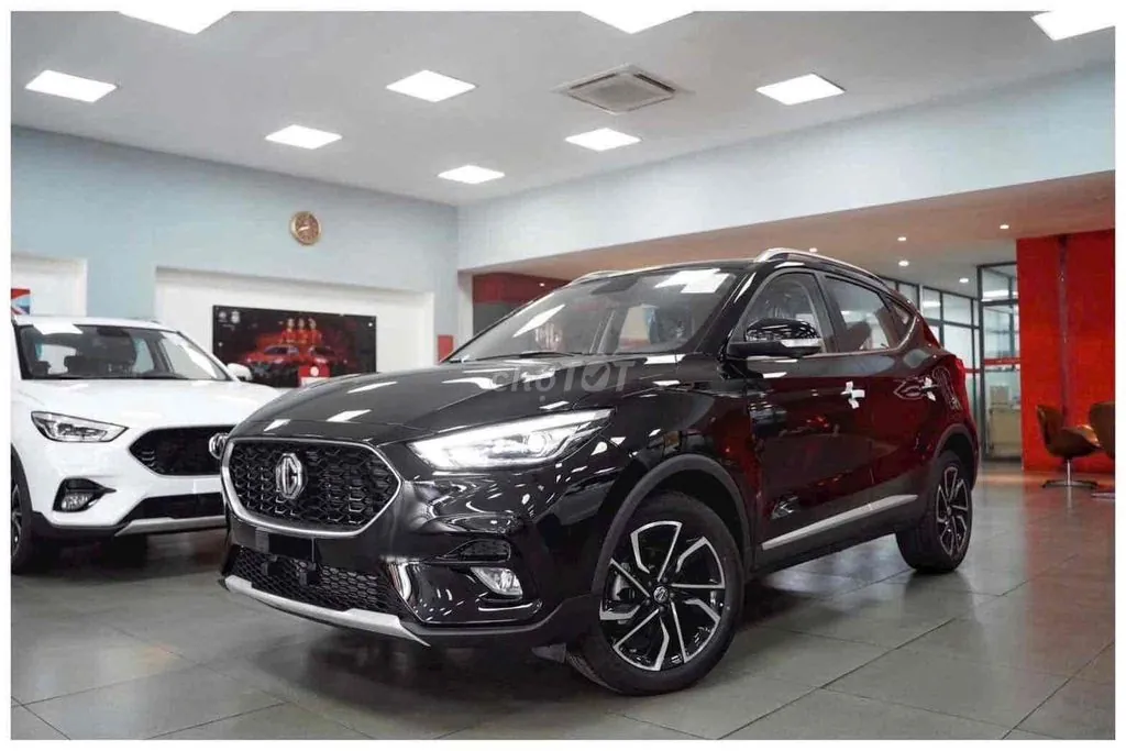 MG Mgzs