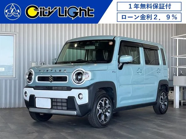 Suzuki Hauser X