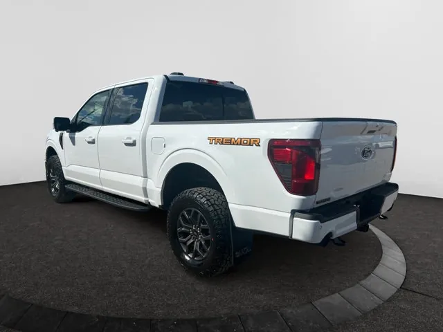 Ford F-150 Tremor 2026 photo 3