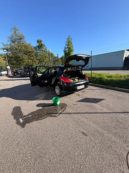 Peugeot 308 2008 photo 4