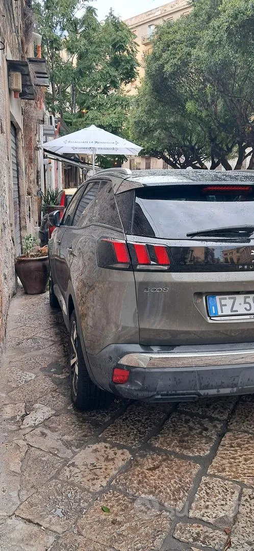 Peugeot 3008 2020 photo 5