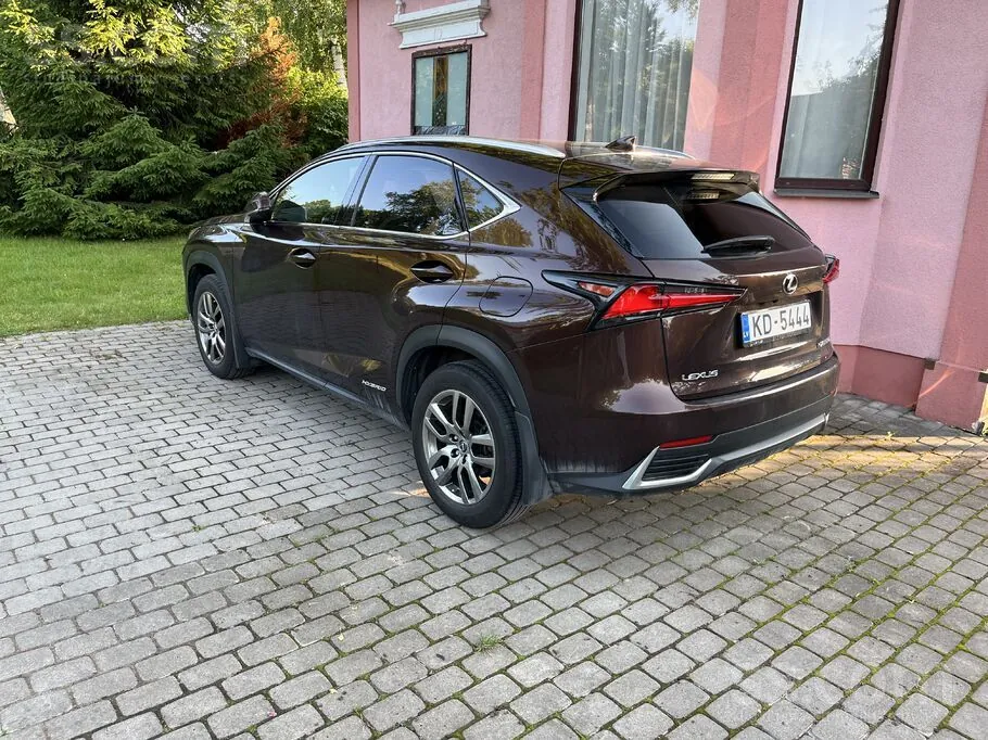 Lexus Nx 2018 photo 4
