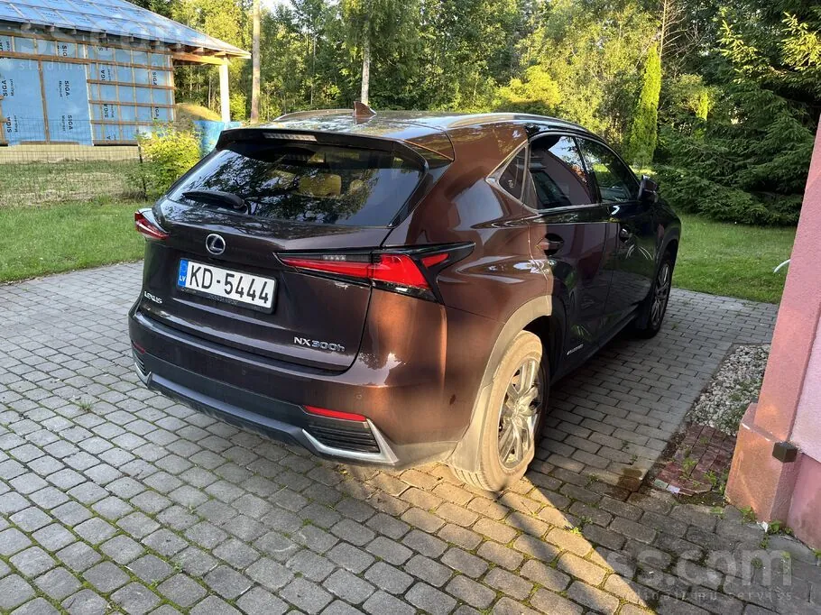 Lexus Nx 2018 photo 3