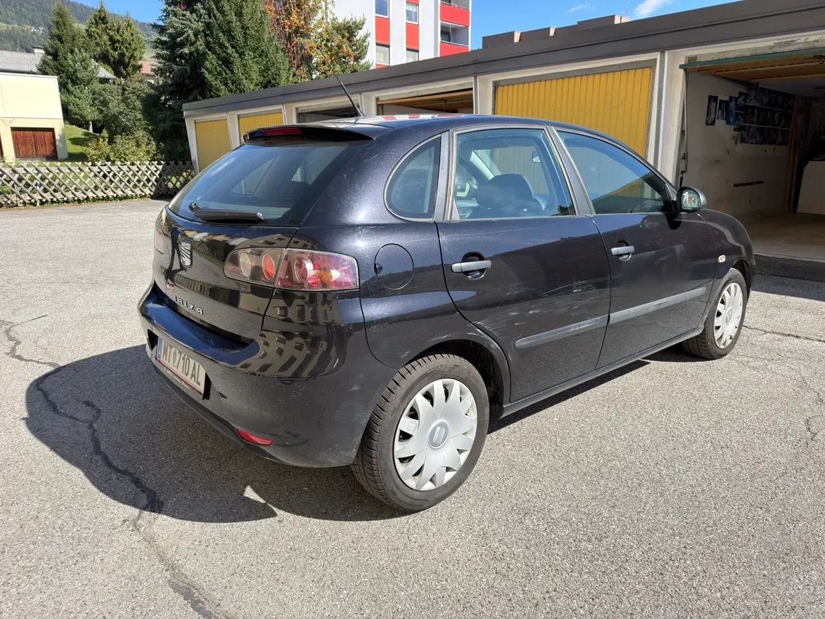 Seat Ibiza 2008 photo 2