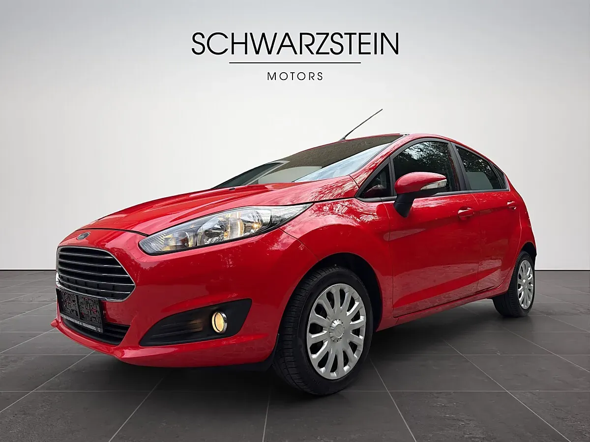 Ford Fiesta 2015 photo 3