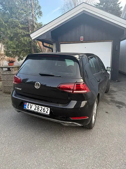 Volkswagen E-Golf Vii 2019 photo 3