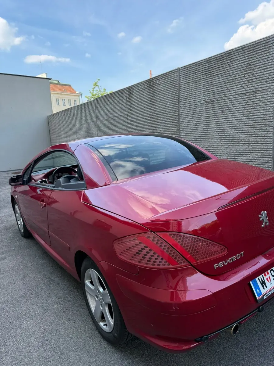 Peugeot 307 2005 photo 2
