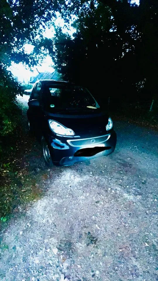 Smart 451