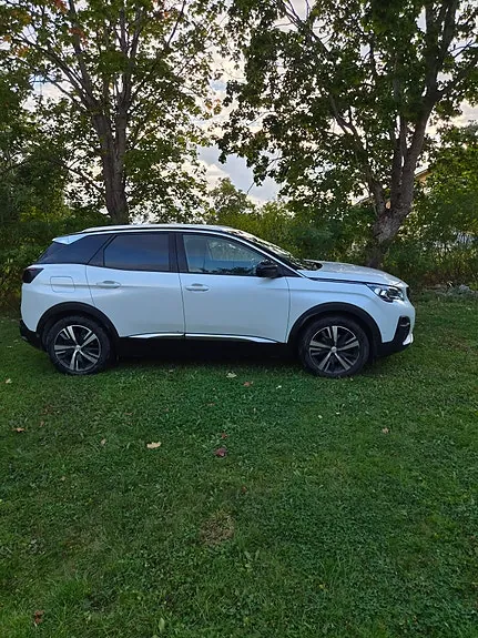 Peugeot 3008 2019 photo 3