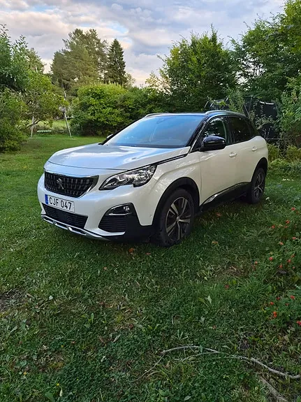 Peugeot 3008 2019 photo 4