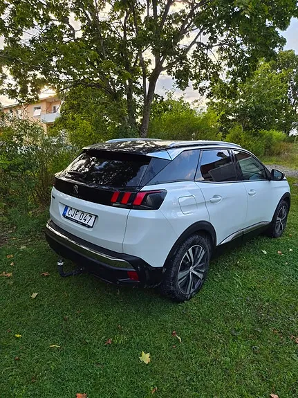 Peugeot 3008 2019 photo 2