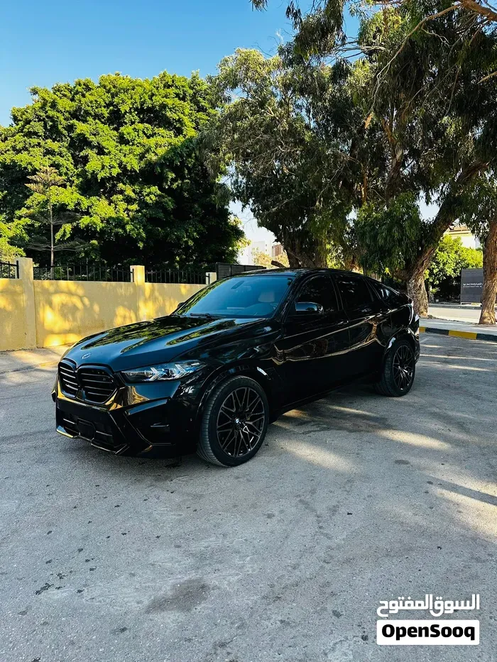 BMW X6 2012 photo 5