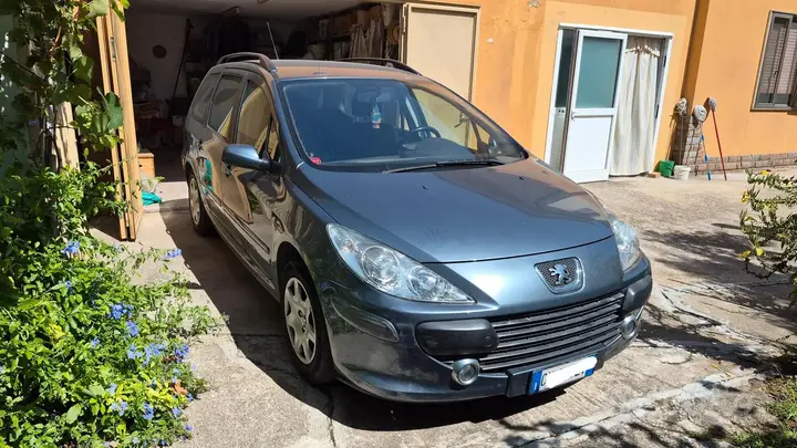 Peugeot 307 2006 photo 4