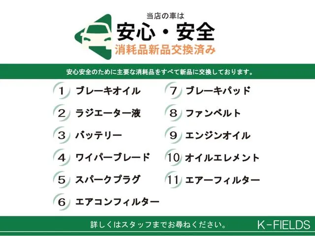 Nissan Ad 2008 photo 3