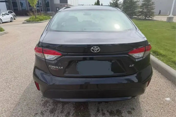 Toyota Corolla 2020 photo 5
