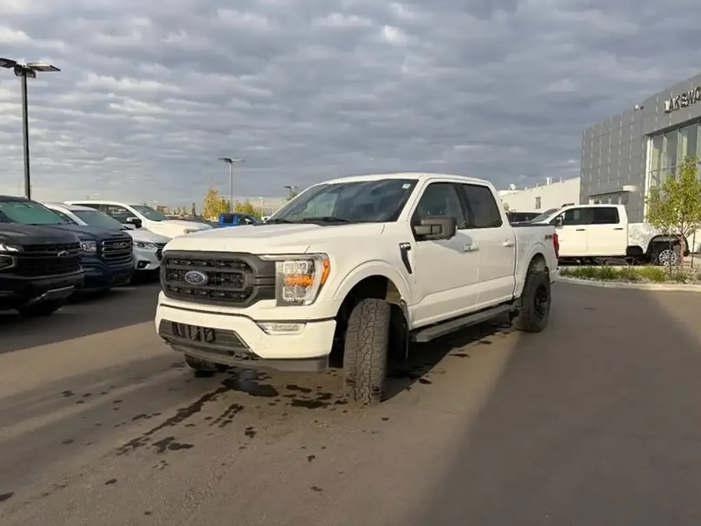 Ford F-150 2023 photo 3