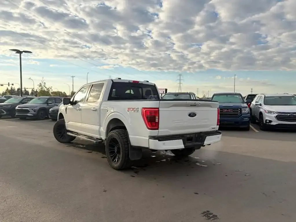 Ford F-150 2023 photo 4