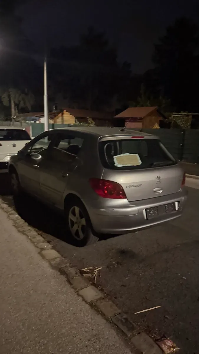 Peugeot 307 2004 photo 2