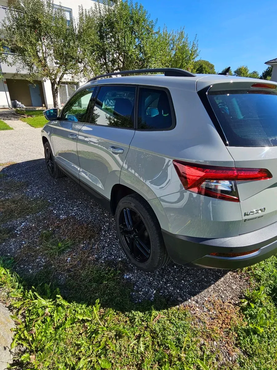 Skoda Karoq 2020 photo 3