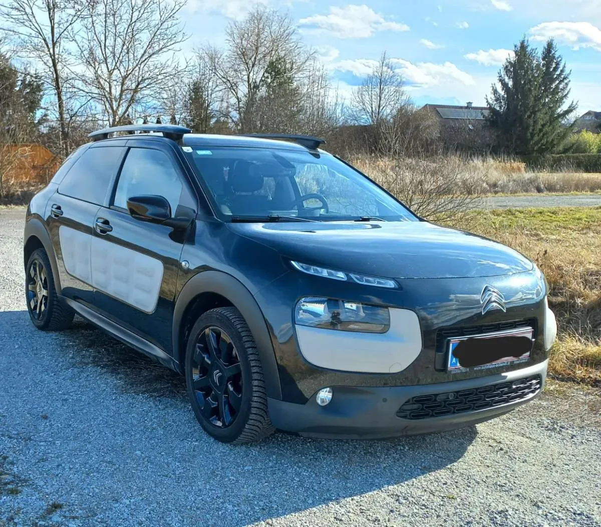 Citroen C4 Cactus 2015 photo 3