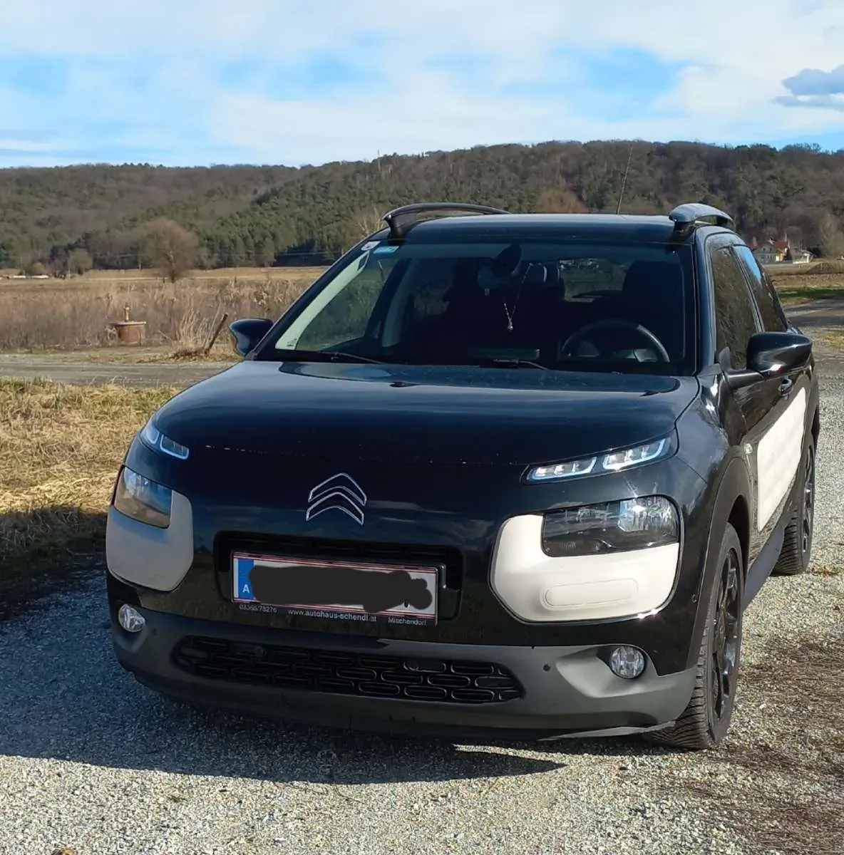 Citroen C4 Cactus 2015 photo 2