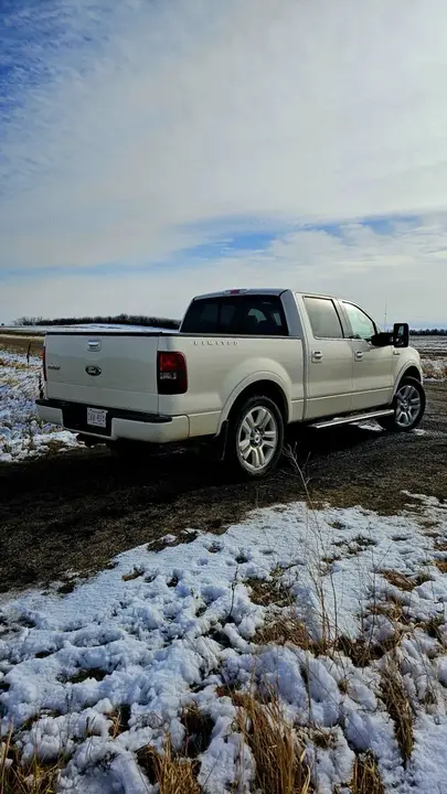 Ford F-150 2008 photo 3